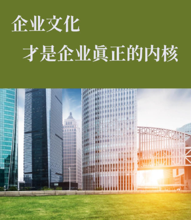 WC插件产品型号参数对比分析：提升WordPress功能的核心指标解读